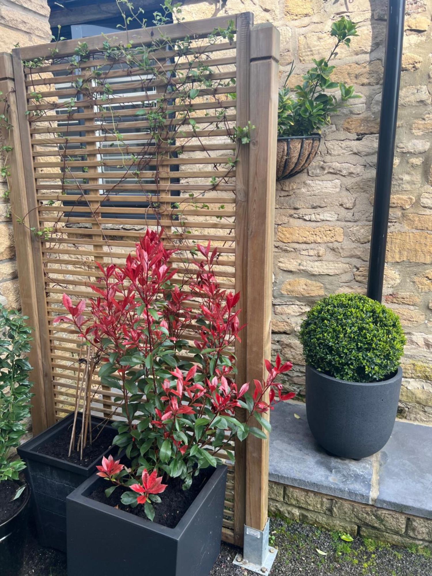 Priory Tearooms Burford With Rooms Εξωτερικό φωτογραφία